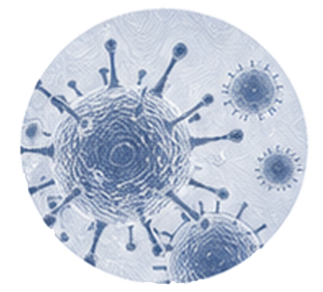 Illustration of viruses